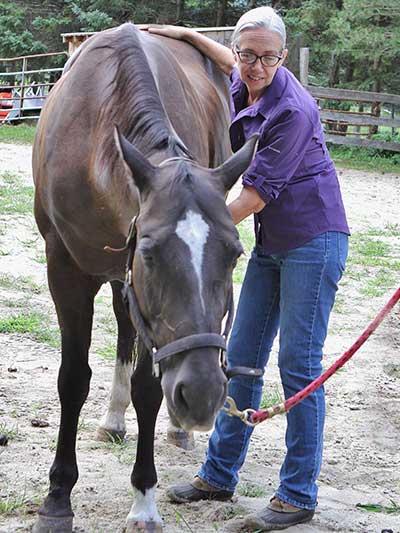 Horses - Craniosacral Therapy with Karen Partisch